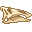 Fresh Shantungosaurus Skull