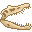 Fresh Spinosaurus Skull