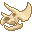 Fresh Triceratops Skull