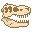 Fresh Tyrannosaurus Rex Skull