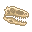 Fresh Velociraptor Skull