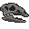 Thescelosaurus Skull Fossil