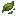 Fresh Tea Leaves