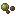 Tea Seed