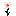 Immortal Daisy