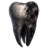 Decay