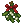 Mistletoe