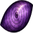 Rinnegan