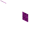 Carpet lili purple