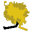 檀香梅の枝