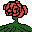 狂気の花