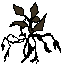 縛り付けた枷