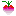 Radish