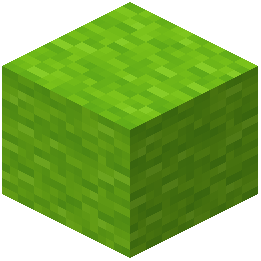 lime_wool