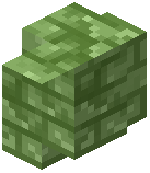 Cracked Lime Brick Wall