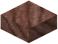 Jurassic Rock Slab