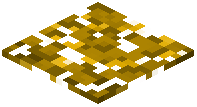 Ginkgo Fallen Leaves