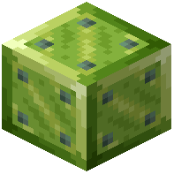 Lime Pipe Junction