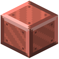 Polished Fungal Stone