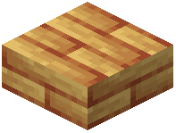 Calamites Slab