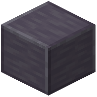 Polished Mudstone