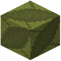 Olive Glazed Terracotta