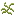 Plant Fibers