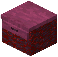 Crimson Drawer Counter