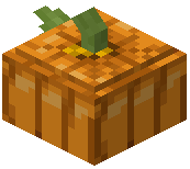 Large Pumpkin