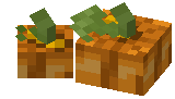 Pair of Pumpkins