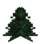 Pine Top