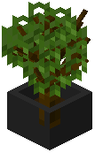 Potted Tree