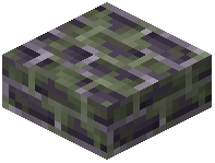 Purple Bricks Slab Mossy