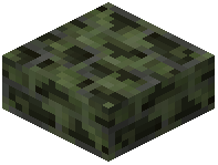 Swampy Bricks Slab Mossy