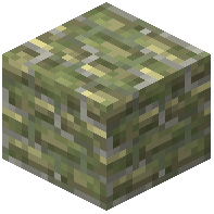 Yellow Bricks Mossy