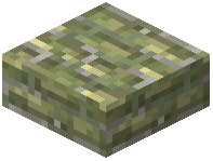 Yellow Bricks Slab Mossy