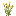 Chamomile Flowers