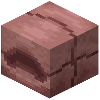 Armadillo Scute Block