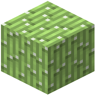 Sugar Cane Block