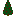 Holly Tree Sapling