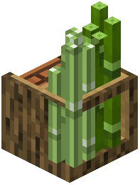 Blockhutplantation
