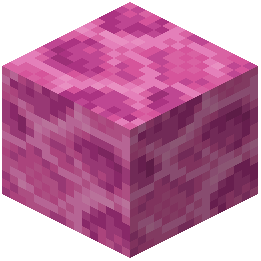 Brain Coral Block