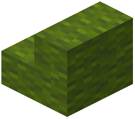 Green Wool Stairs