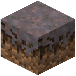 Mycelium