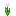 Pink Tulip