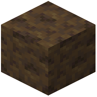 Poplar Wood