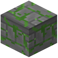 Mossy Decorated Stone Bricks