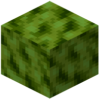 Building/General/Wax/Green