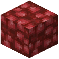 Storage/Compressed/Beetroot