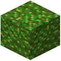 Storage/Compressed/Wheat Seeds